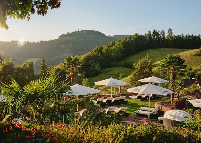 Hotel Dollenberg