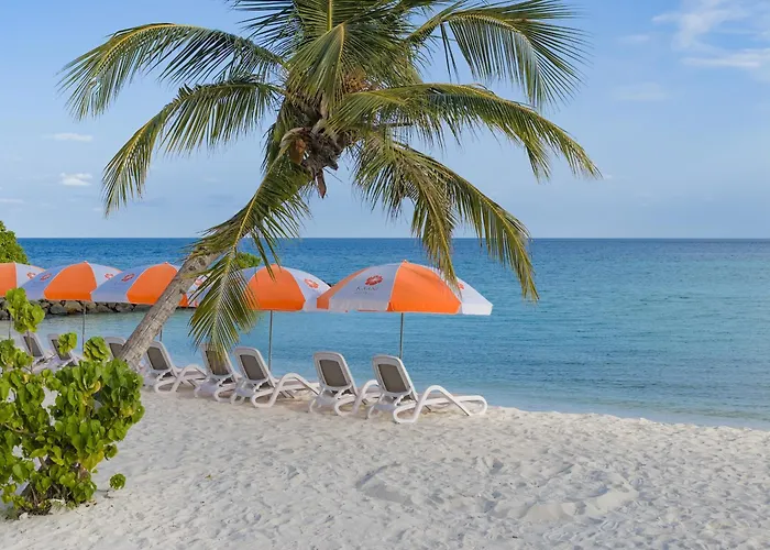 Kaani Palm Beach
