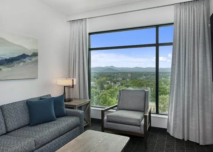 Embassy Suites By Hilton Asheville Downtown