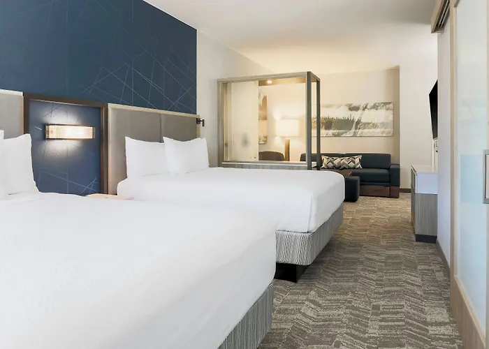 Springhill Suites By Marriott Truckee Lake Tahoe
