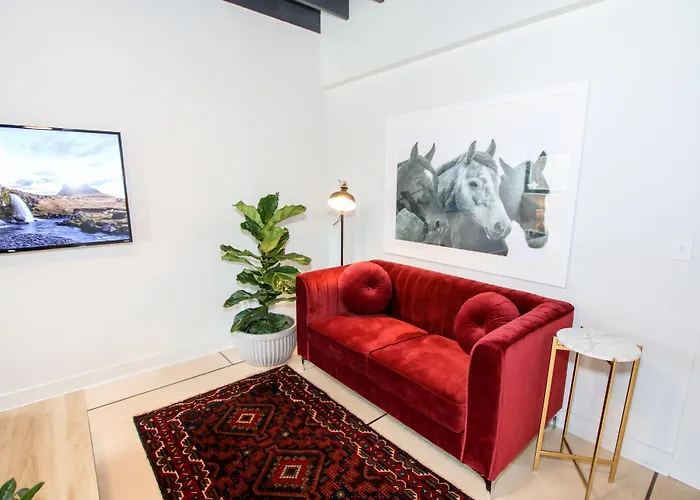 Stellar Suites