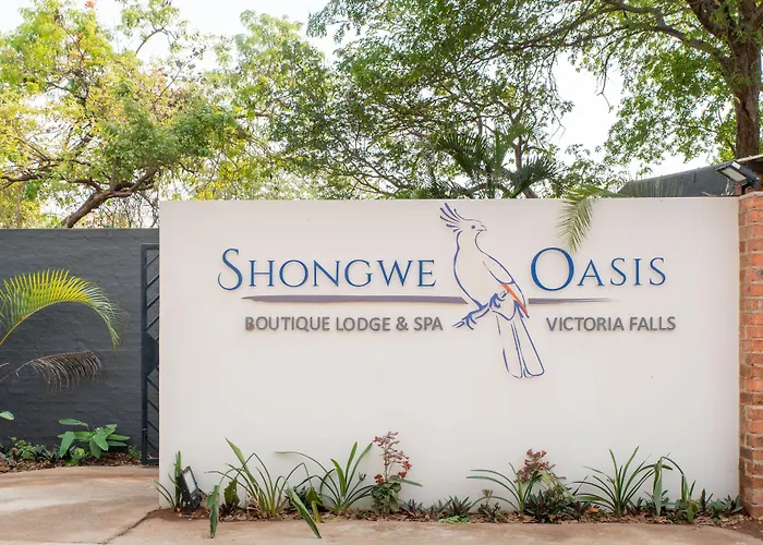 Shongwe Oasis