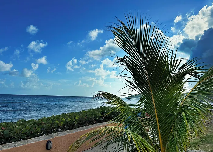 Grapetree Bay Hotel And Villas