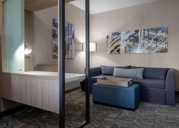 Springhill Suites By Marriott Charlotte Huntersville