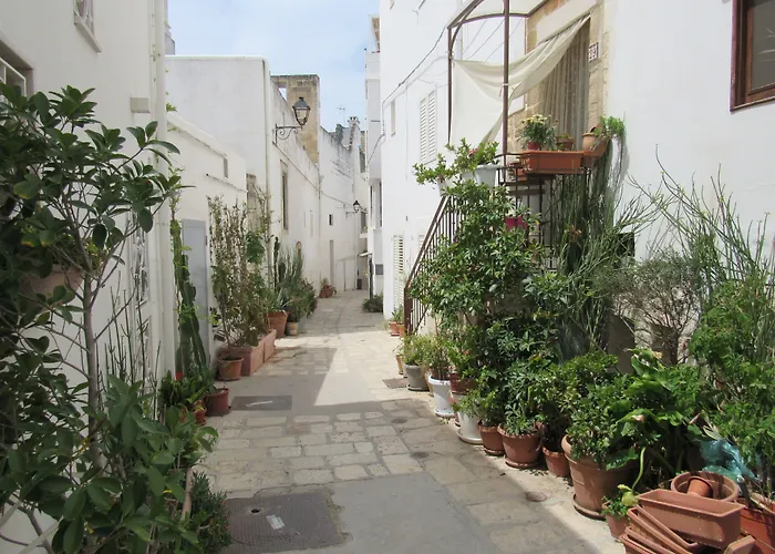 Vicolo Fiorito B&B Polignano a Mare