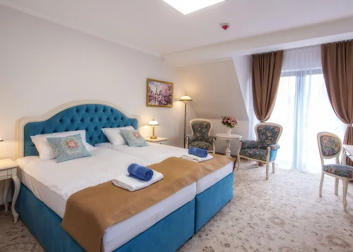 Hotel Paryski Art & Business Zakopane - Basen Jacuzzi Sauna Malpi Gaj