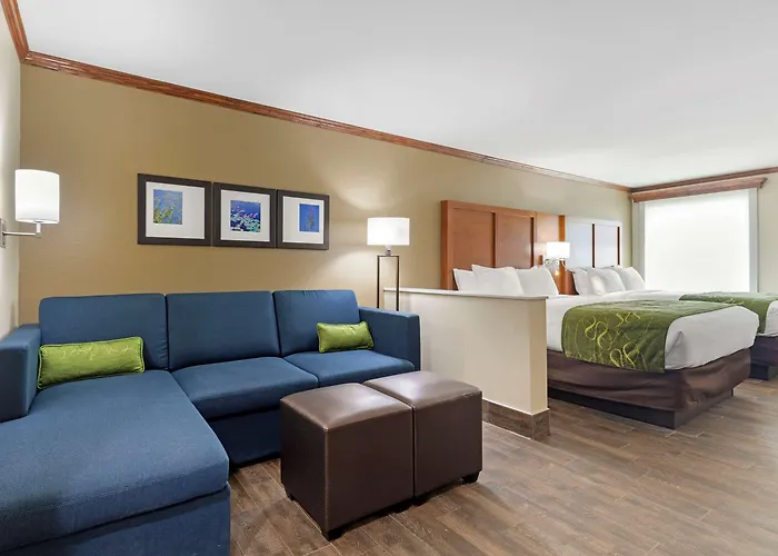Comfort Suites West Monroe Near Ike Hamilton Expo Center