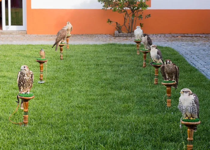 Vila Gale Collection Alter Real - Resort Equestre, Conference & Spa