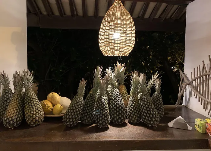 Pousada Tartaruga Boutique Hotel