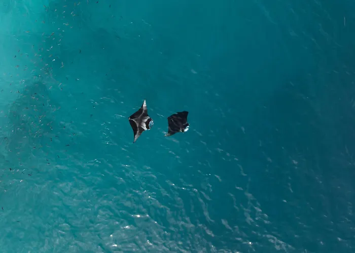 Swarn By Hawks Hotels Kamadhoo Baa Atoll