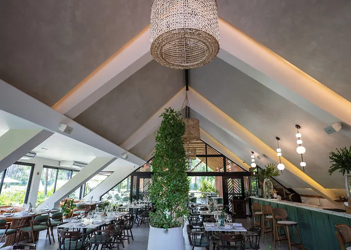 Hotel Pinar Dorado By Hotel Gran Jimenoa