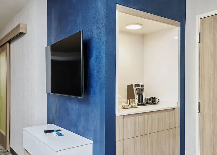 Springhill Suites By Marriott Chicago Chinatown
