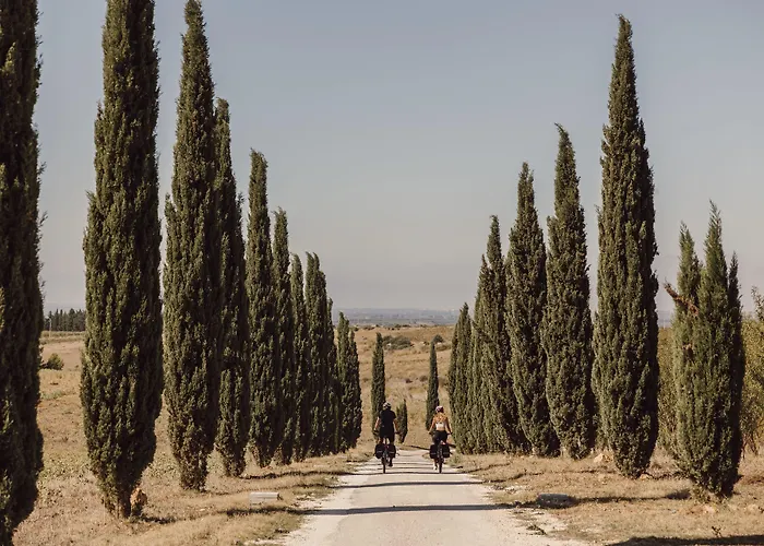 Masseria Del Carboj