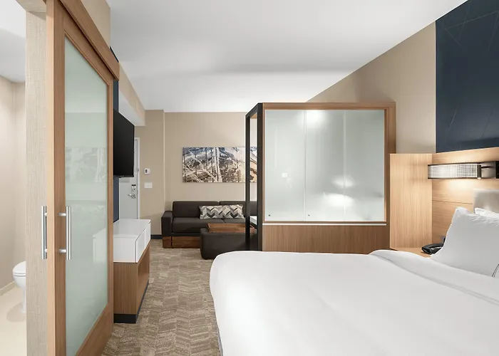 Springhill Suites By Marriott Jackson