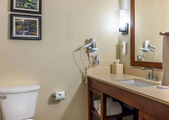 Comfort Inn & Suites At Crossplex Village