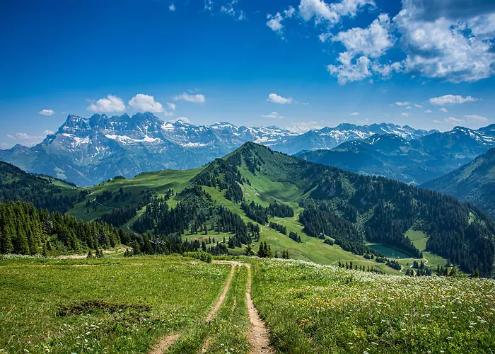 Fleur De Neige Chatel