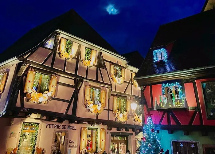 Gite Les Deux Belettes - Appartements Meubles A Riquewihr - Vue Vignoble