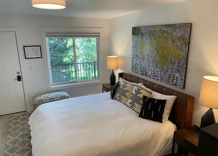 Downtown Telluride Riverside Condo - Boomerang