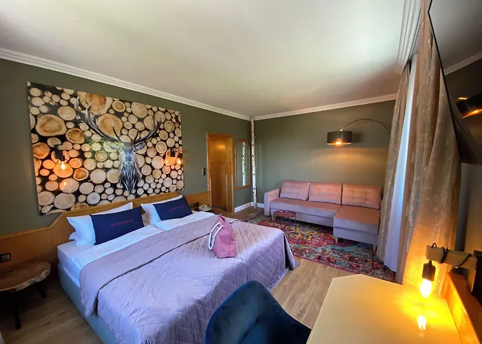 Harz Hotel & Spa Seela