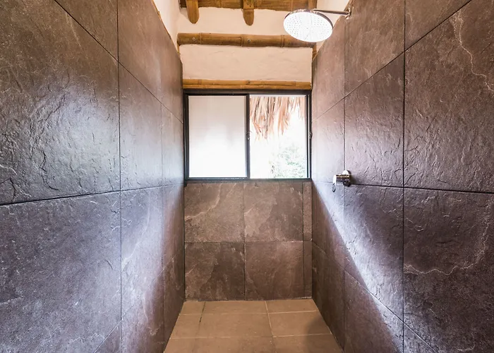 Ceiba By Masaya Collection