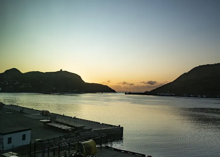 Alt Hotel St. John'S