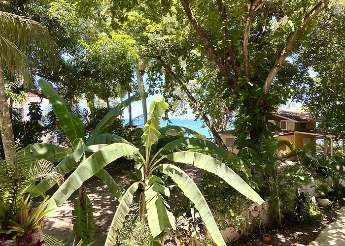 Hotel Alegria
