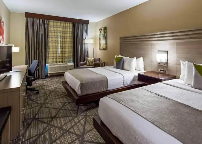 Comfort Inn & Suites Houston I-45 North - Iah