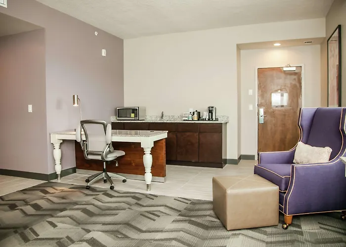 Hilton Garden Inn Tampa Suncoast Parkway