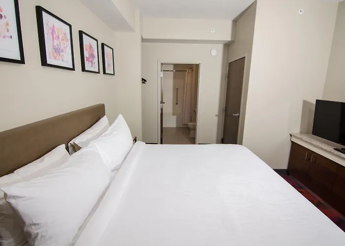 Hilton Garden Inn Tampa Suncoast Parkway