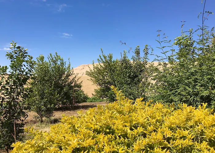 New Memnon Hotel