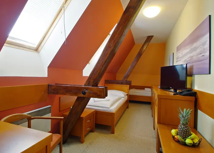 Hotel U Leva
