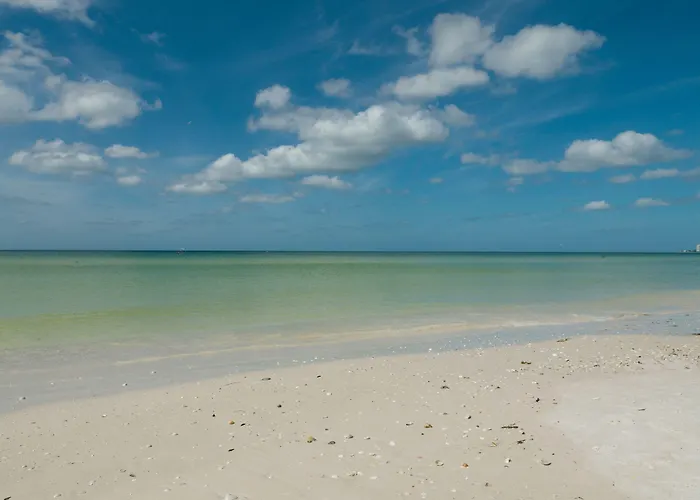 Siesta Key Palms