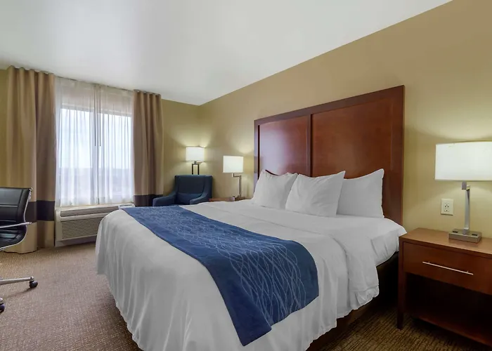 Comfort Inn & Suites Mandan - Bismarck