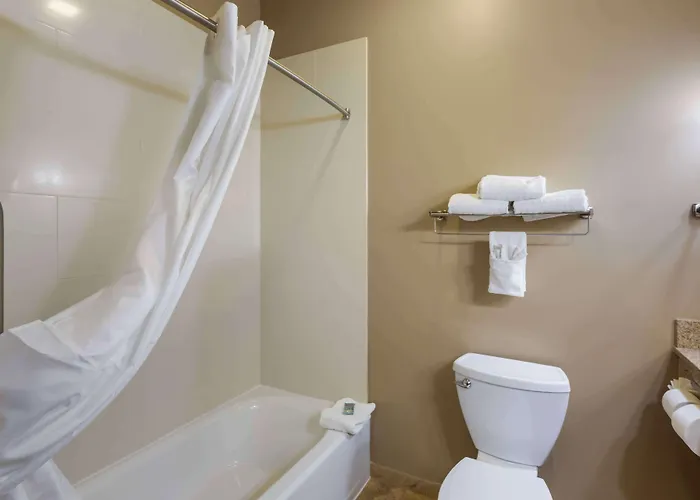 Best Western Golden Prairie Inn And Suites