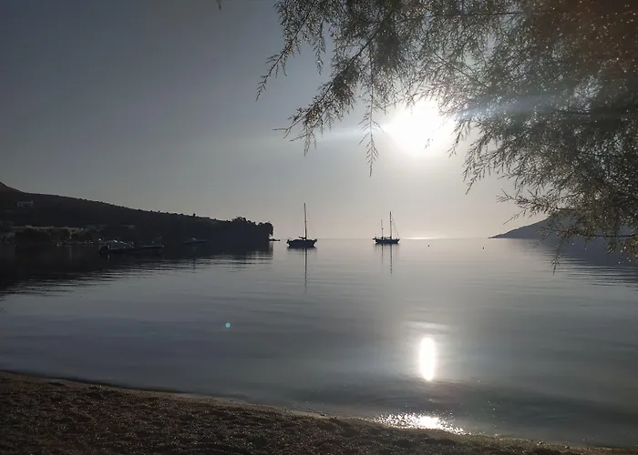 Alea Mare Hotel
