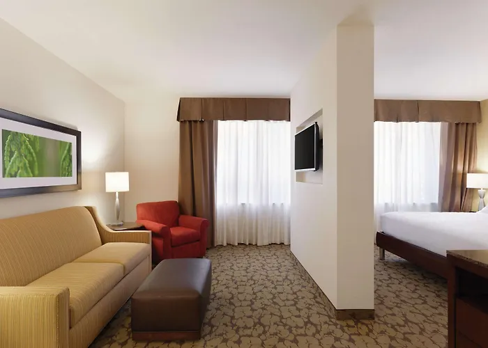 Hilton Garden Inn Rochester Downtown, Ny