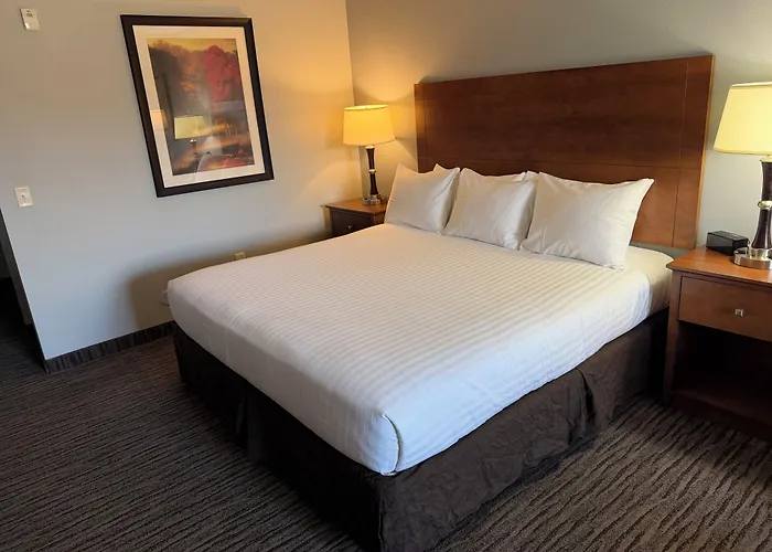 American Inn & Suites