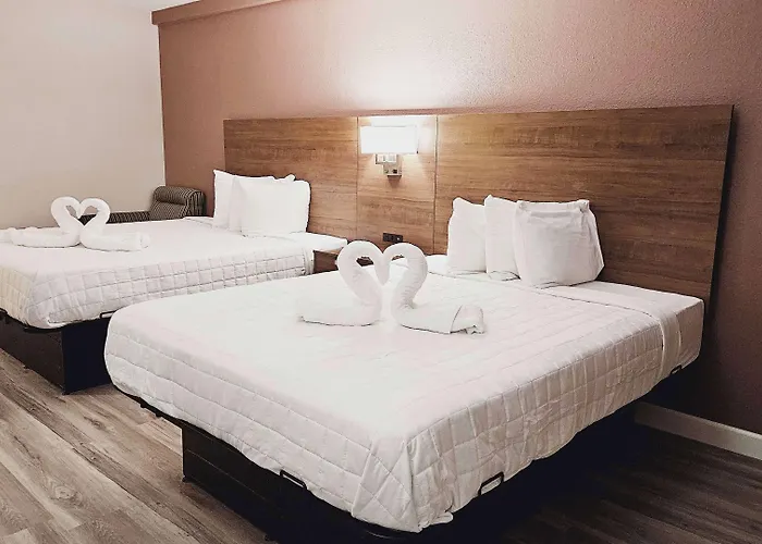 Best Western Hopkinsville Ky - Brand New Rooms