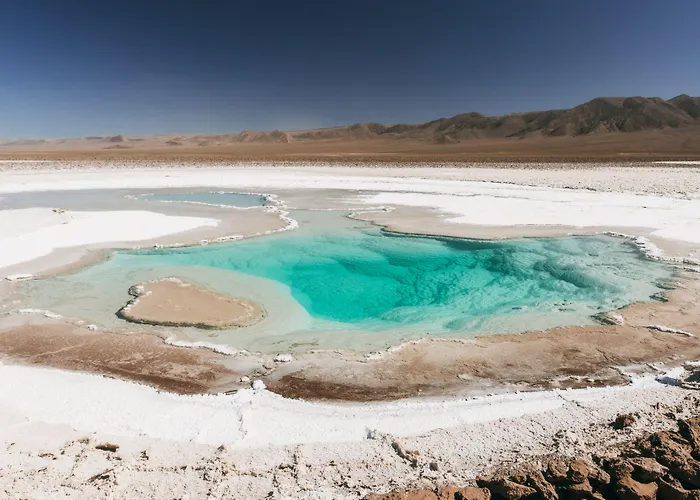 Altiplanico Atacama