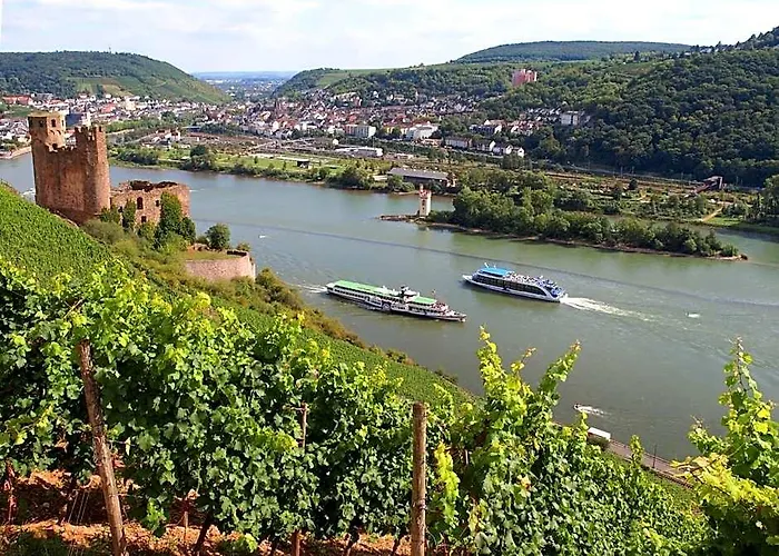Weinhotel Des Riesling Zum Gruenen Kranz