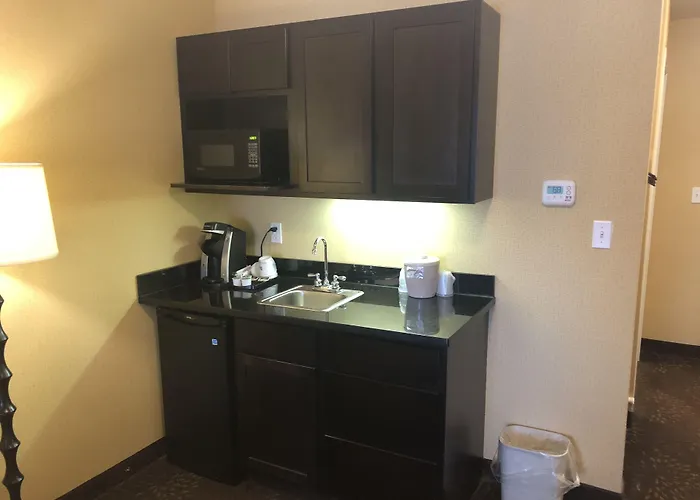 Holiday Inn Express Hotel & Suites Lansing-Dimondale By Ihg