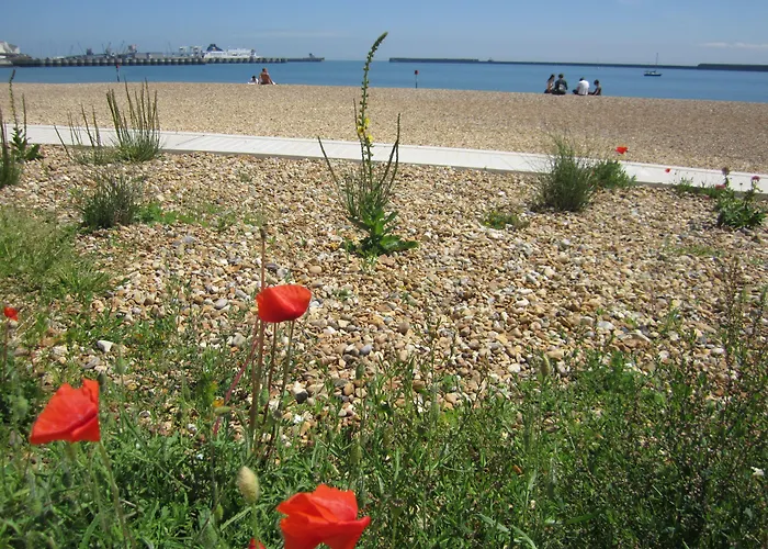 Dover Marina Hotel & Spa, Tapestry Collection By Hilton