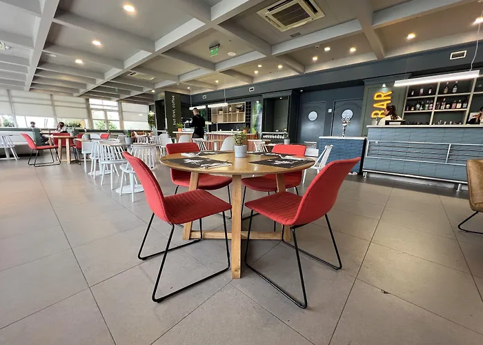 Ibis Concepcion