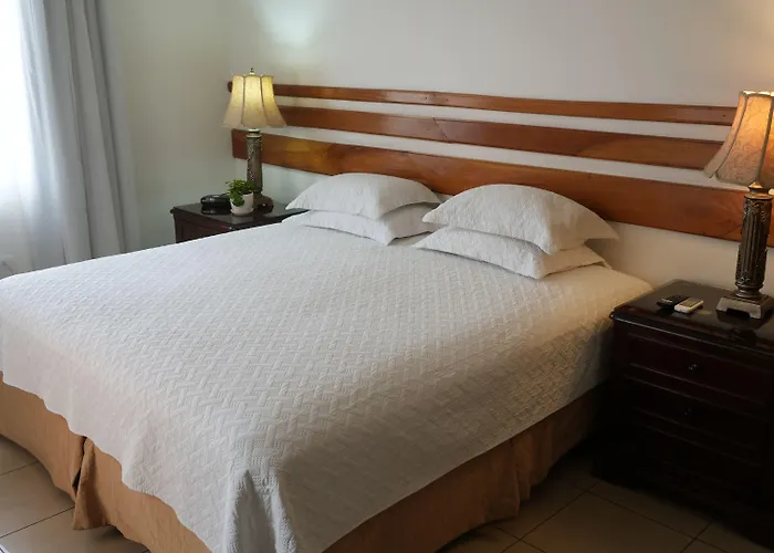 Hotel Casa Del Arbol