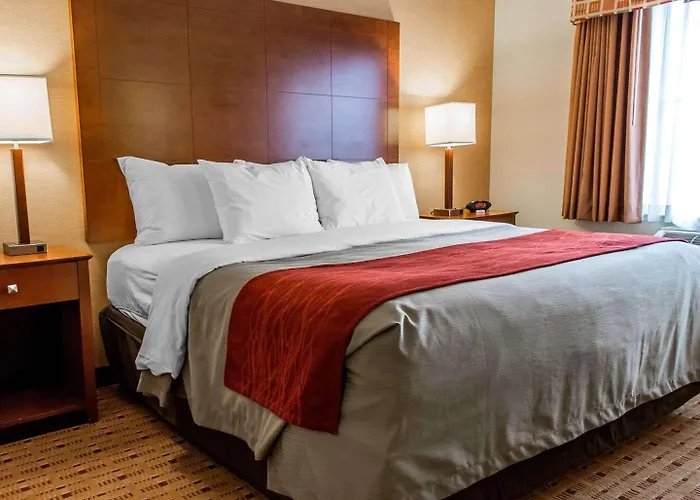 Comfort Inn & Suites Franklin East