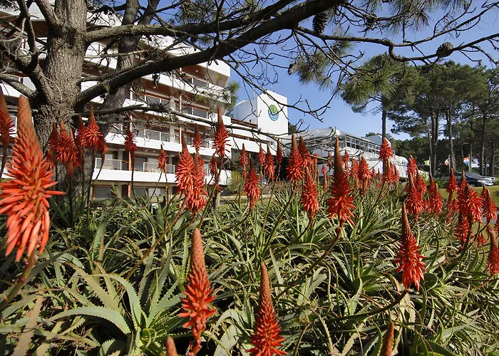 Hotel Del Lago Golf & Art Resort
