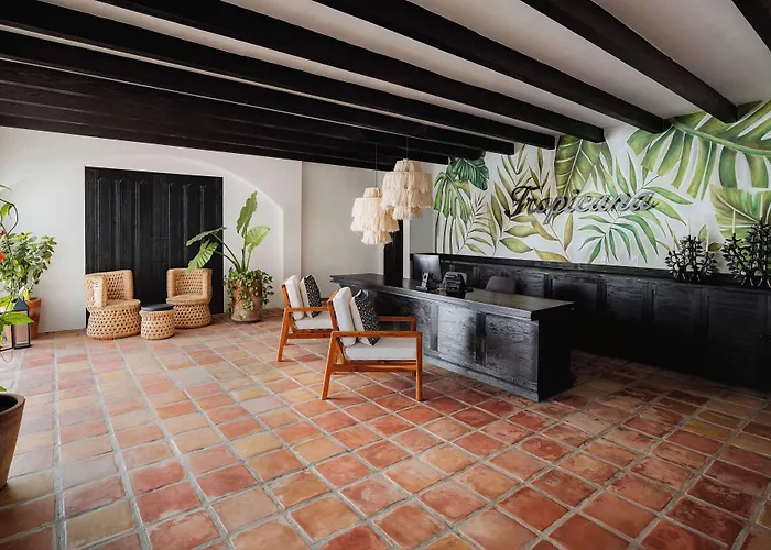 Tropicana Los Cabos, Tapestry Collection By Hilton