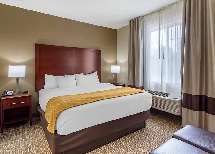 Comfort Suites Clarksville Near Governors Square Mall