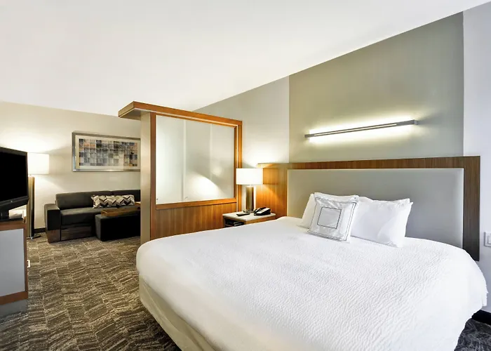 Springhill Suites Tallahassee Central