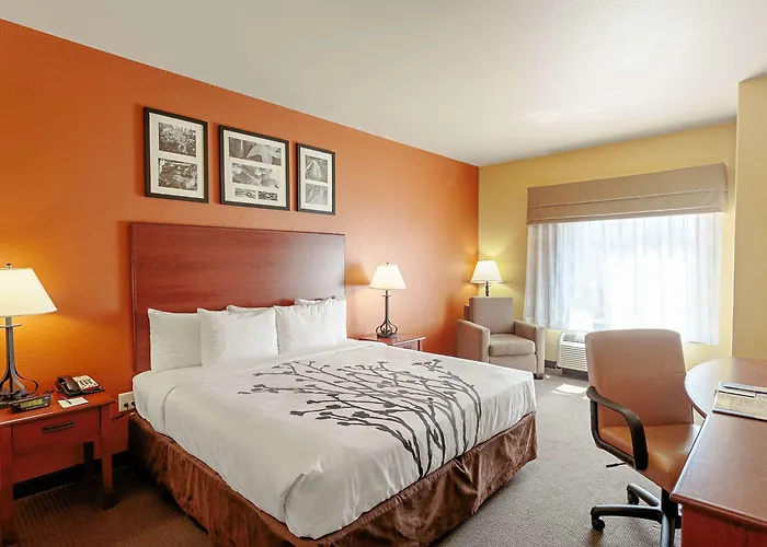 Sleep Inn & Suites Tyler South